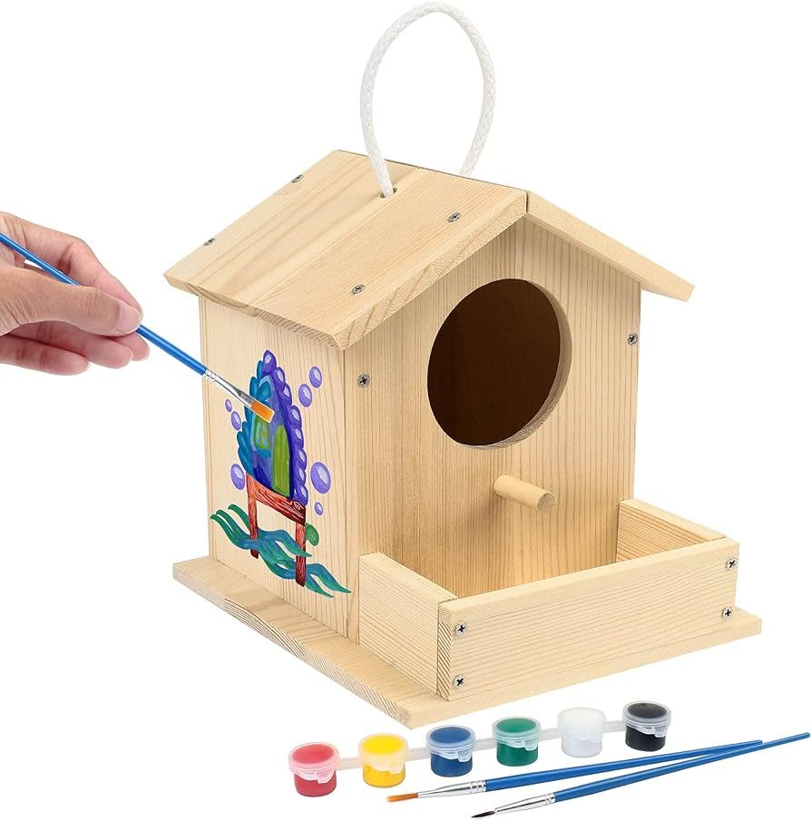 LotFancy Bird House Kit, DIY Wooden Birdhouse Kits, Arts and Crafts Painting Kits for Kids Ages 5... | Amazon (US)