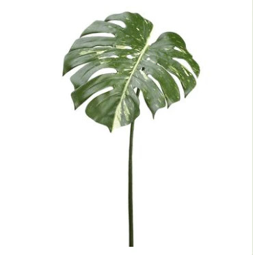 Philodendron Tropical Leaf | Megan Molten