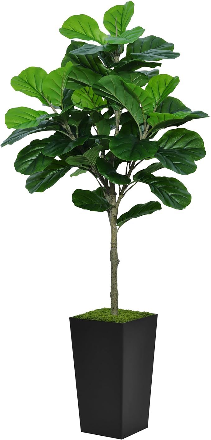 Fiddle Leaf Fig Tree Artificial 5FT - Faux Fiddle Leaf Fig Plant with Black Tall Planter - Fake F... | Amazon (US)