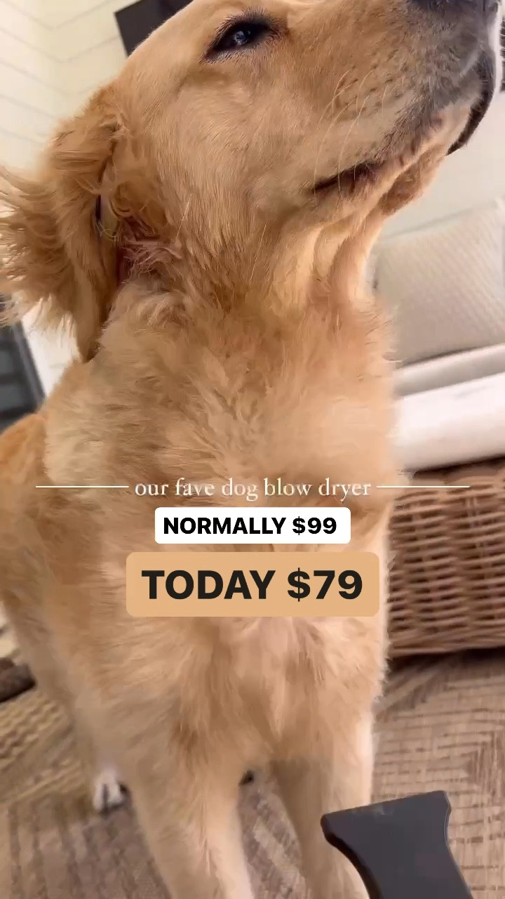 Our daily heated pet blow dryer we use on Kollyns after she swims or if the pups get wet! 🤎🐾 on sale on Amazon today! A summer / dog mom essential for sure! 

Amazon finds / dog essentials / groomer / dog / pet / Holley Gabrielle 

#LTKsalealert #LTKVideo #LTKfindsunder100