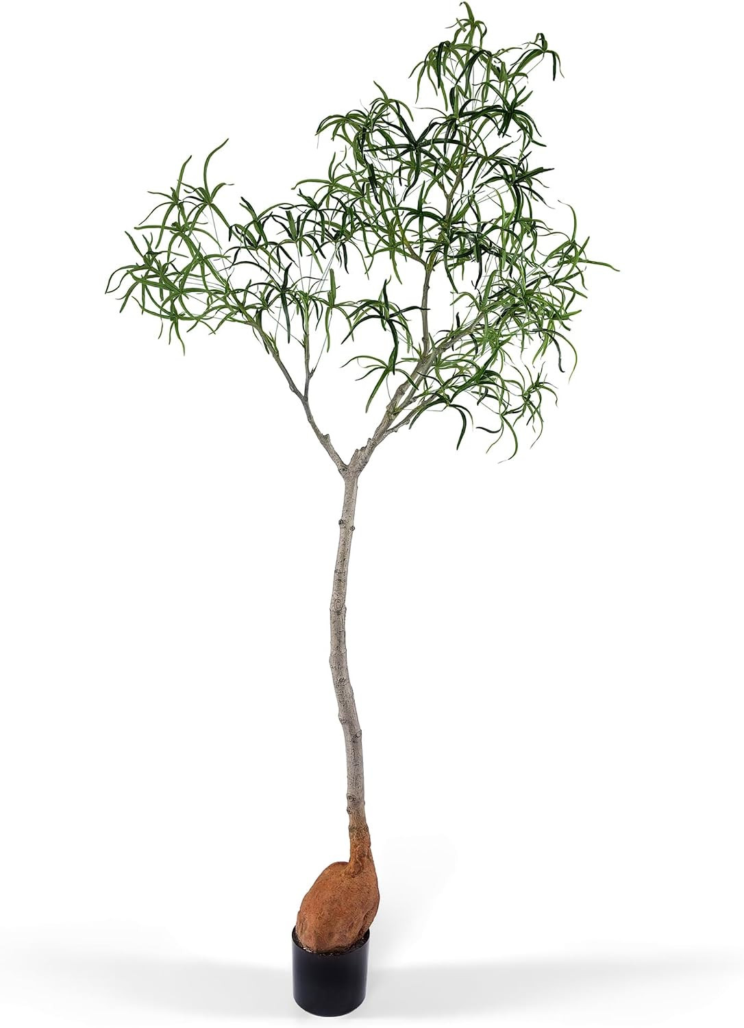Everleaf 6.5FT Queensland Bottle Tree, Sculptural Faux Tree for Japandi & Wabi-Sabi Interiors, Premium Silk Leaves & Swollen Trunk, Artificial Indoor Plant for Living Room Decor | Amazon (US)
