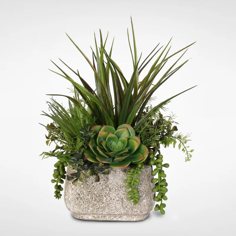 Artificial Desktop Succulent Variety Plant in Pot | Wayfair North America