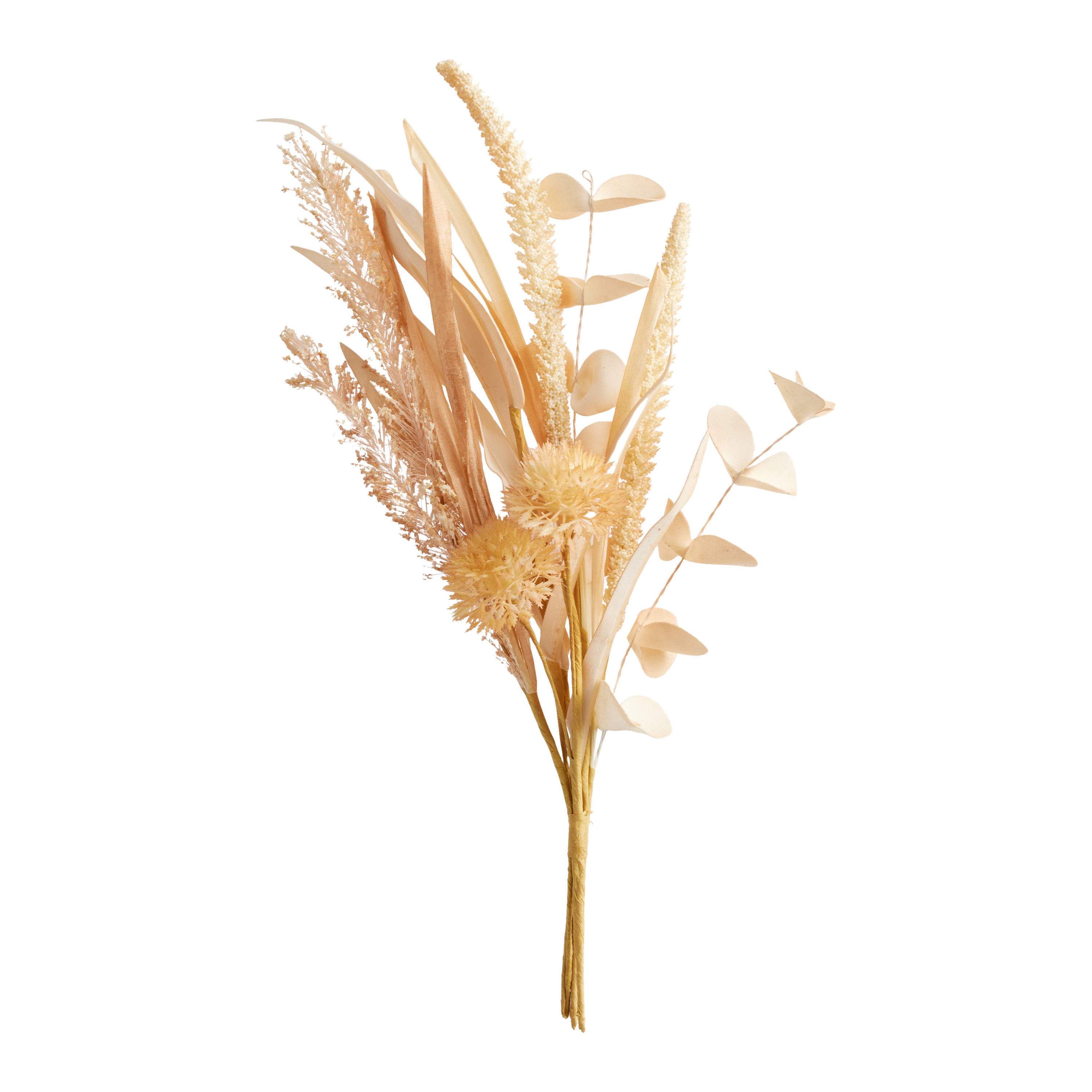 Dried Fall Bulrush Reed Bunch | World Market