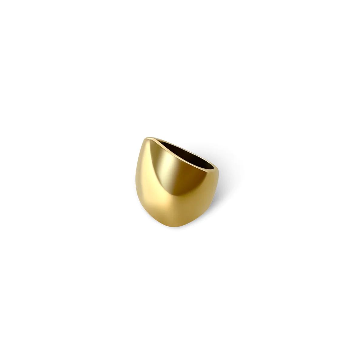 Gold Chunky Dome Ring | Anisa Sojka