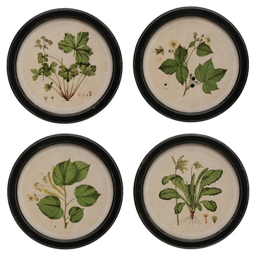 Anthea Traditional Green Botanical Black Frame Multipanel Illustration - 14x14 | Kathy Kuo Home