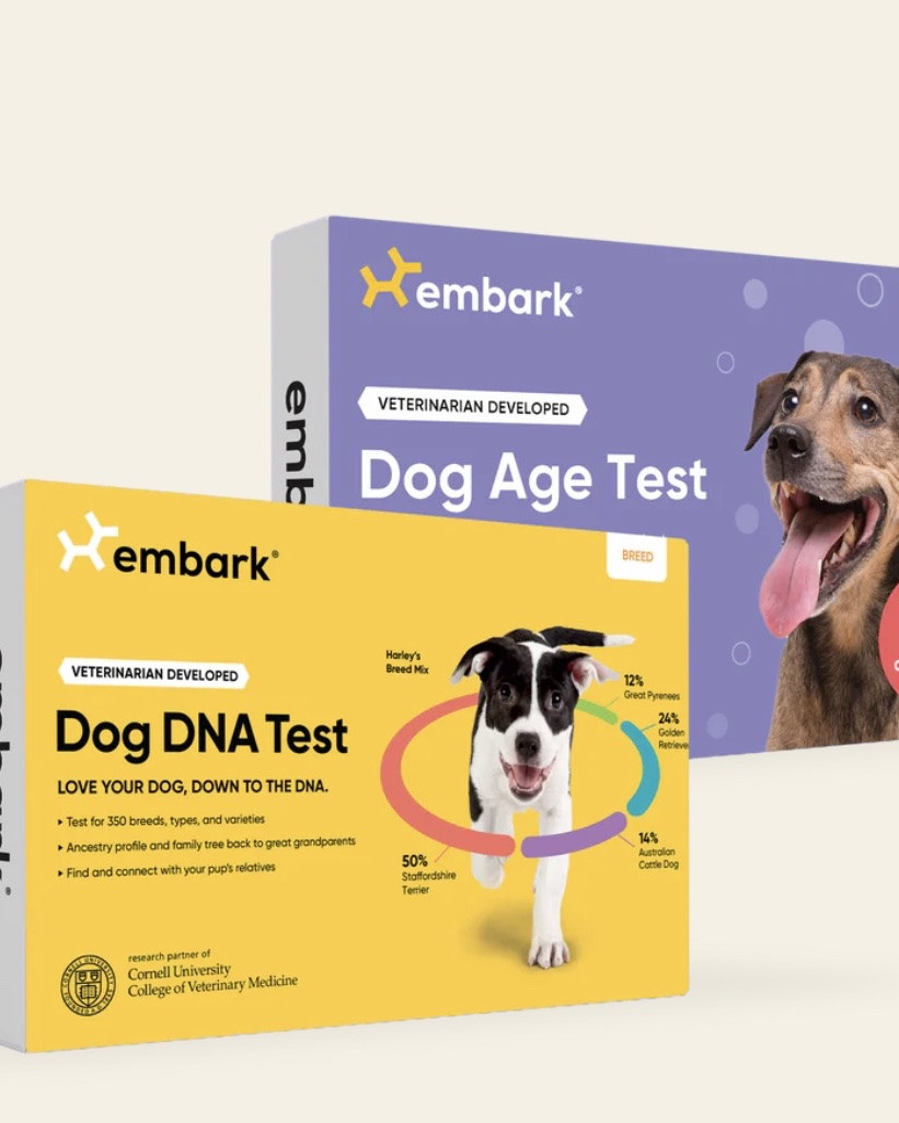 Breed ID and Age Test Bundle 🐶🐶🐶

Finally pulling the trigger — this bundle is ON SALE FOR $99 OFF!!! 

WAS: $288
NOW: $189

embark tests, embark partner, embark finds, embark deals, embark kits, embark bundles, embark DNA test, embark age test, embark dog test

#LTKSaleAlert #LTKdayinmylife #LTKOver40