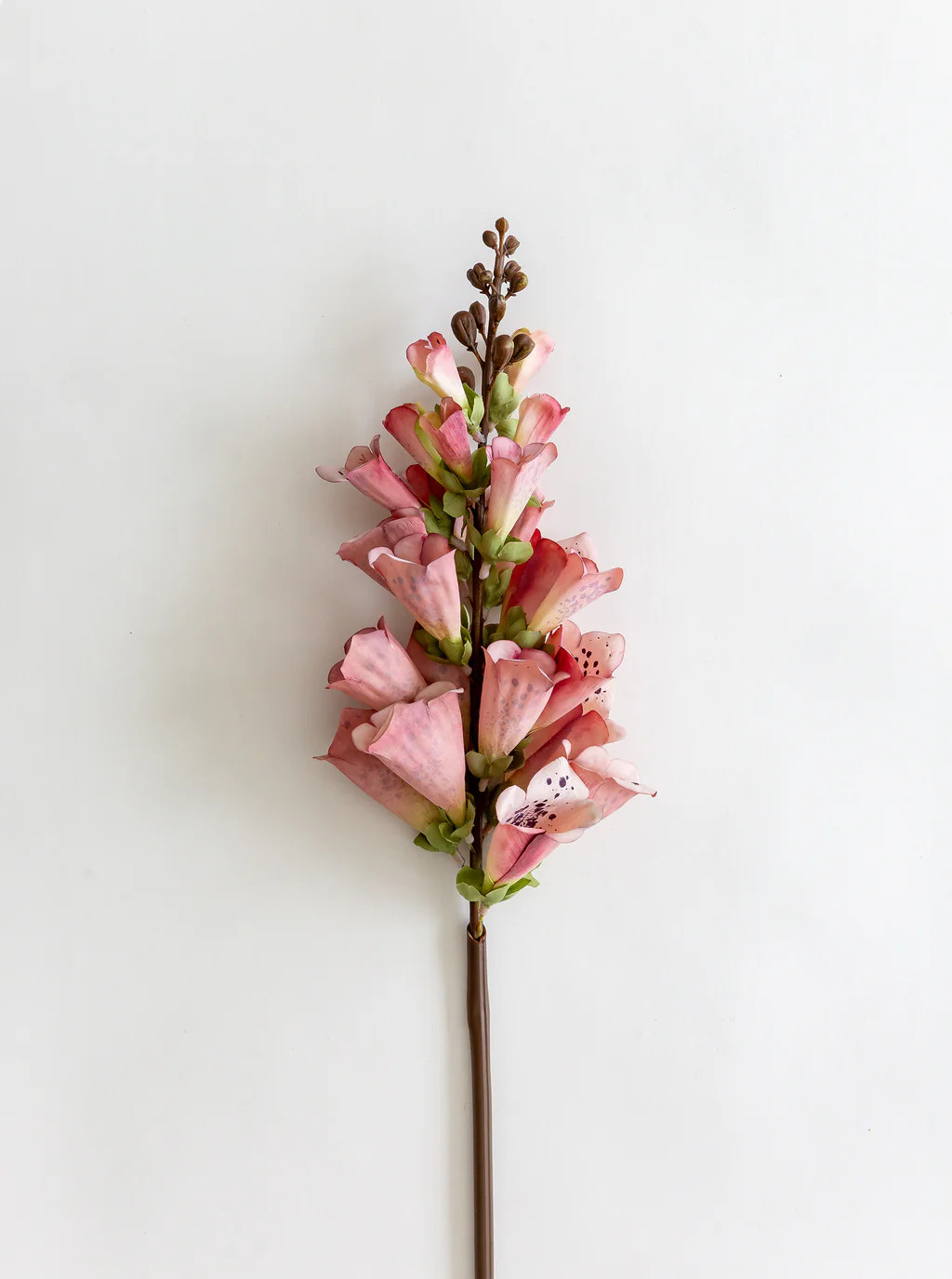 Camel Velvet Ribbon | House of Jade Home