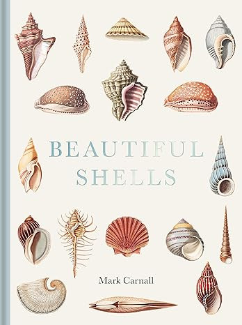 Beautiful Shells: George Perry's Conchology      Hardcover – Illustrated, November 21, 2024 | Amazon (US)
