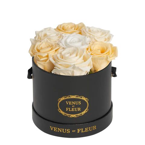 Le Petit Round | Venus ET Fleur