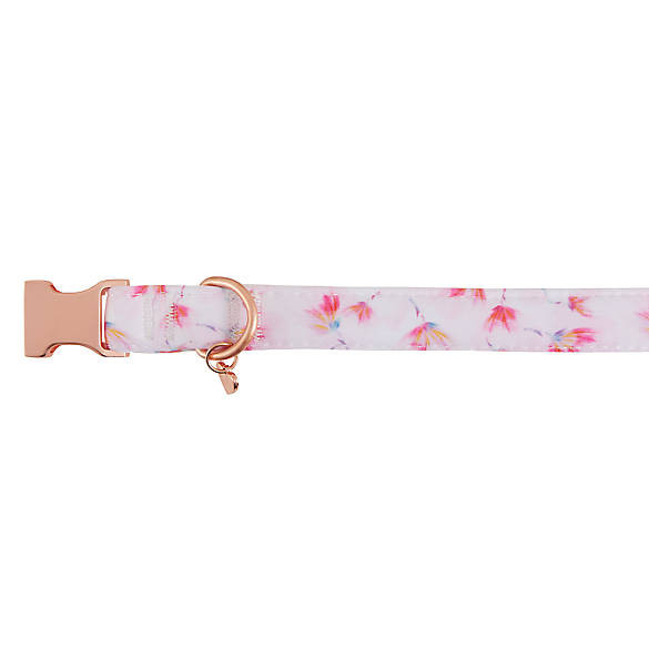 Top Paw® Pink Peony Comfort Neoprene Dog Collar | PetSmart