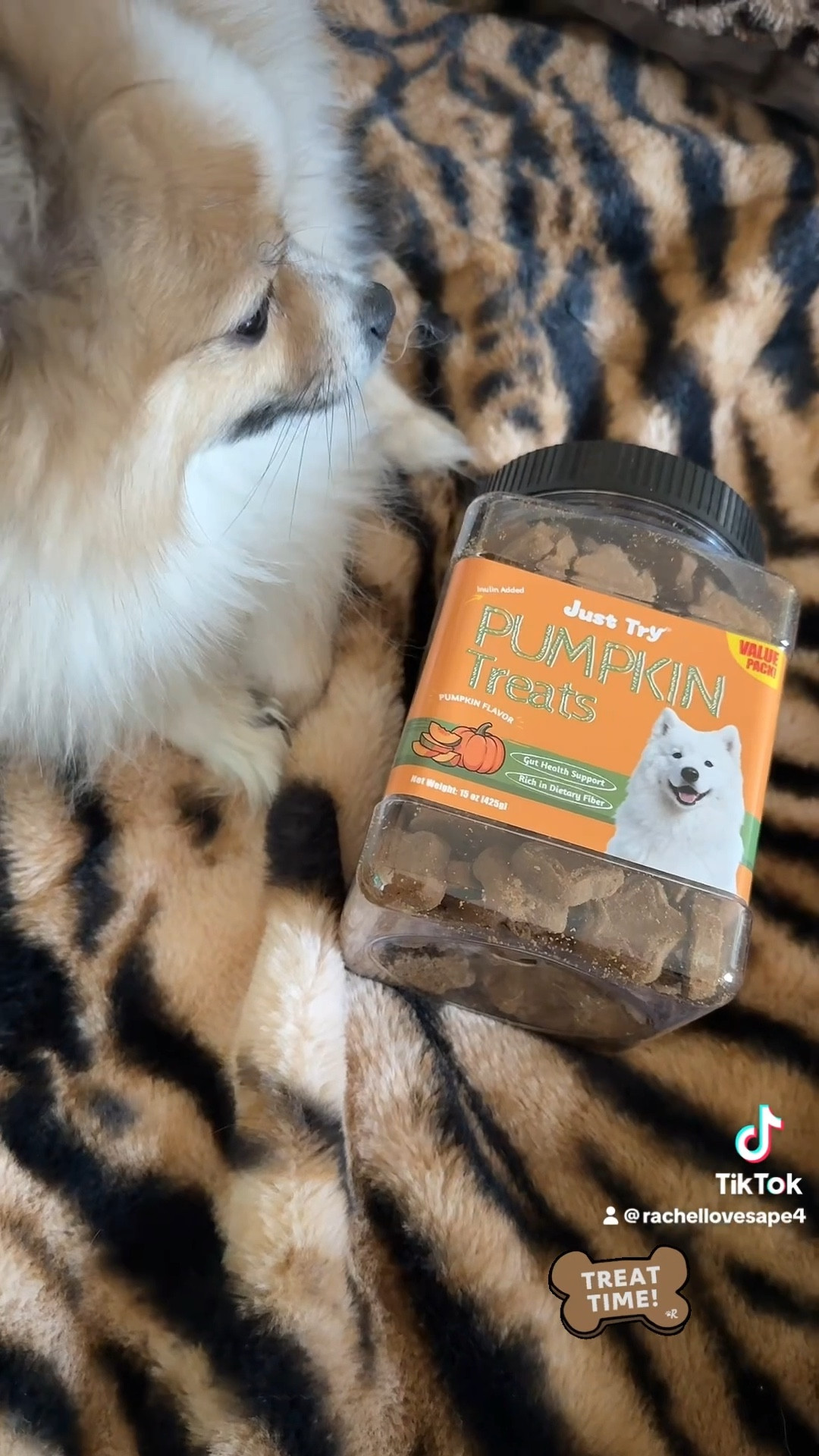 Just Try Pumpkin Dog Treats. 
🐕🐾🐕🐾 #dog#treat#amazon@amazon

#LTKmomlife #LTKHome #LTKdayinmylife