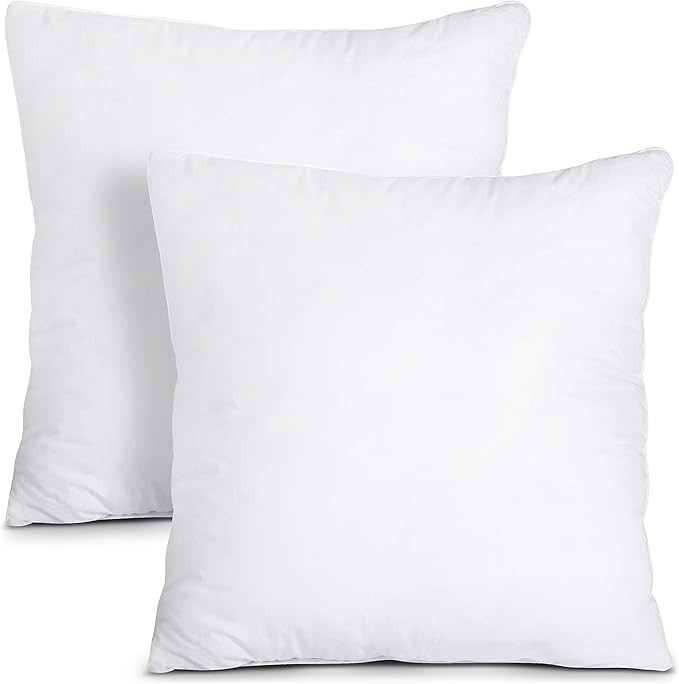 Utopia Bedding Throw Pillows Insert (Pack of 2, White) - 24 x 24 Inches Bed and Couch Pillows - I... | Amazon (US)