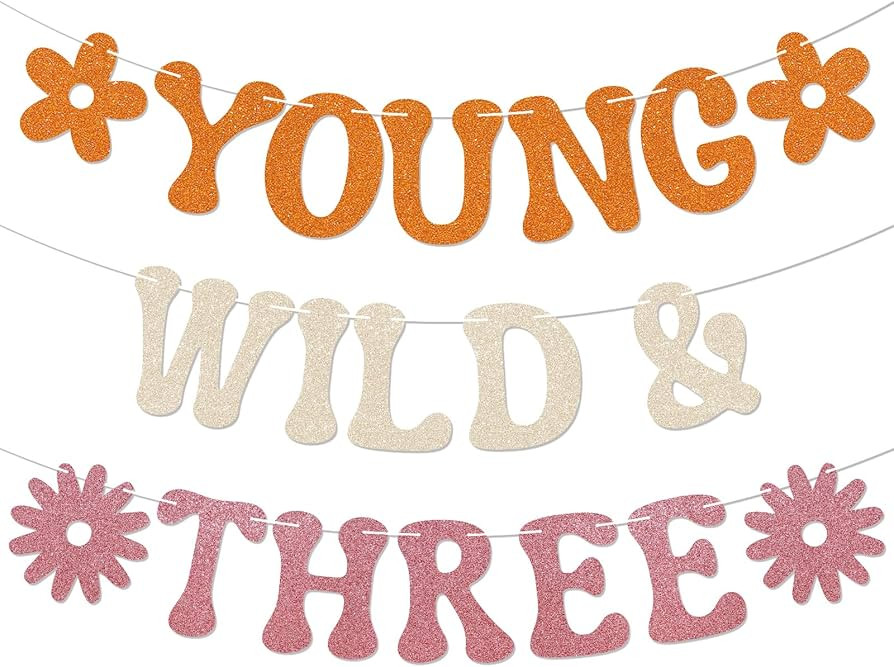 Young Wild & Three Banner - Three Groovy Birthday Decor, Girl 3rd Bday Banner, Boho Retro Groovy ... | Amazon (US)