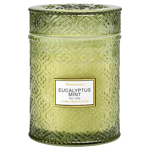 Eucalyptus Mint Scented Candles, Large Natural Soy Candle, 88 Hours Burning Time, Decorative Candles in Glass, Aromatherapy Candle Gift for Women, 19oz | Amazon (US)