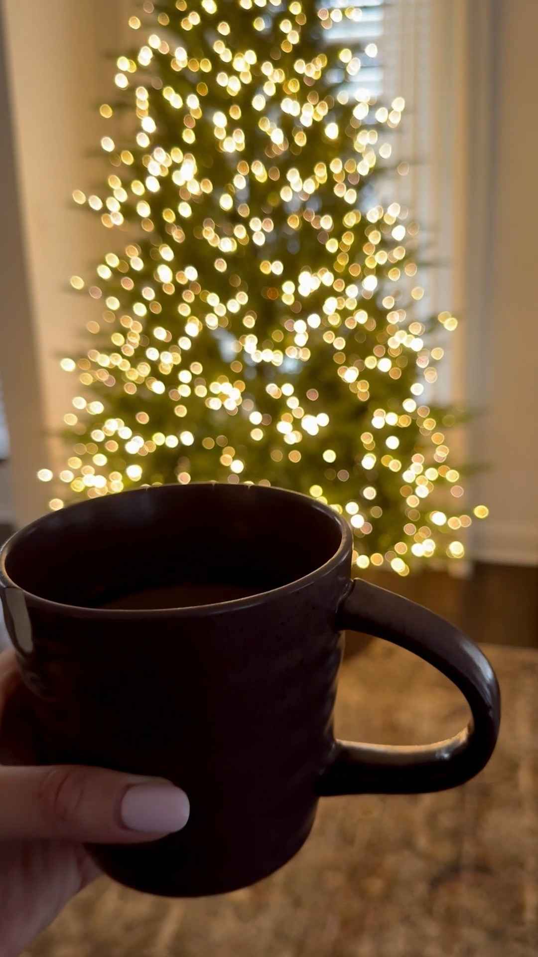 Christmas around here so far ✨🎄

#LTKHoliday #LTKHome #LTKGiftGuide