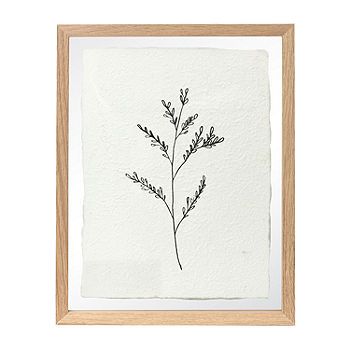 11X14 Floral Plant Under Glass | JCPenney