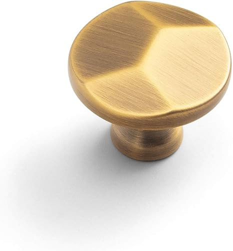 Goo-Ki Brushed Brass Zinc Alloy Cabinet Knob - Single Hole Center Affordable Luxury Cabinet Pull ... | Amazon (US)