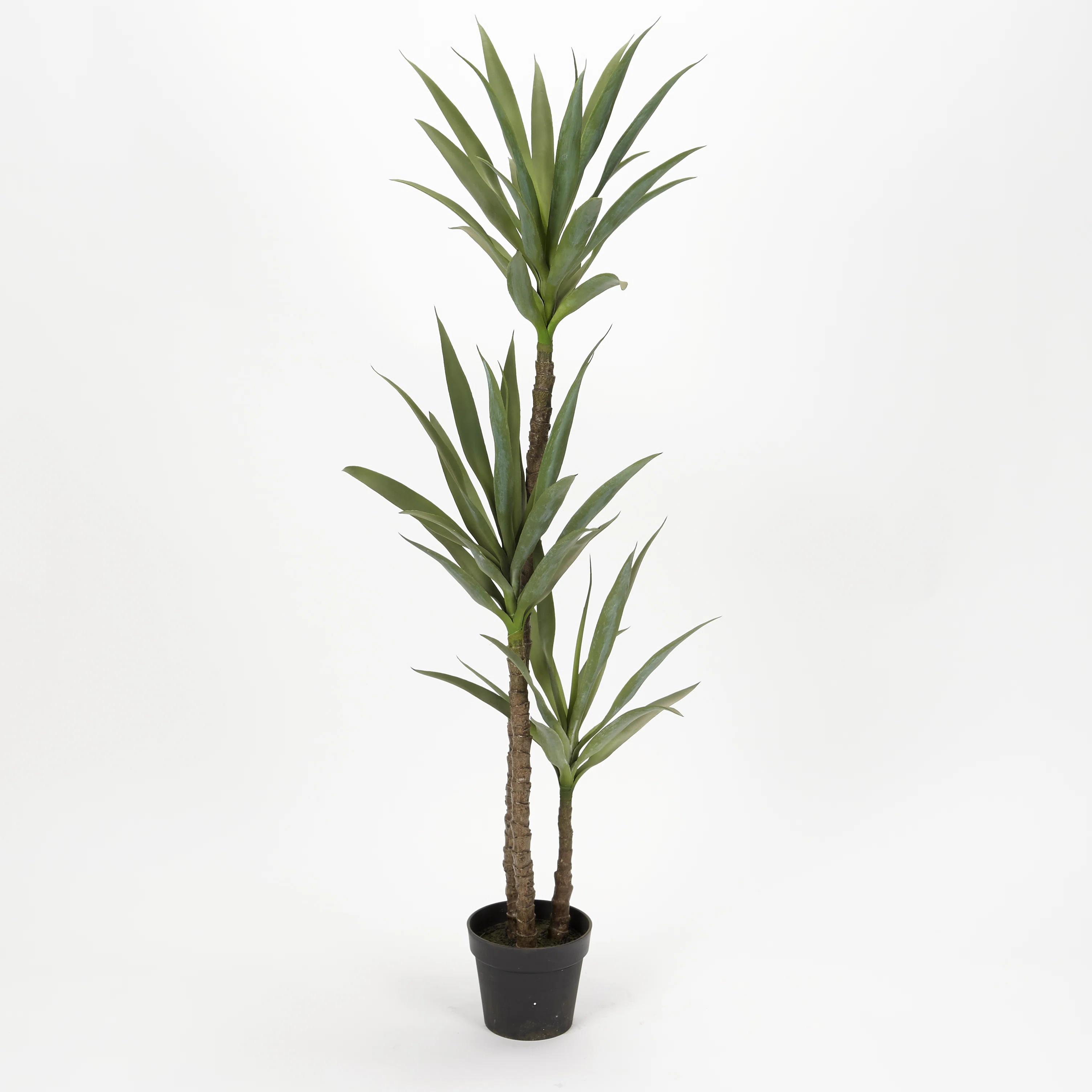 61'' Faux Dracaena Tree in Planter | AllModern