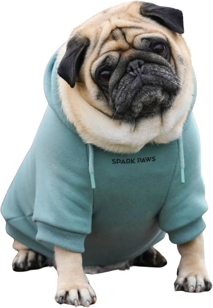 Amazon.com : Spark Paws Dog Hoodie - Premium Quality, Buttery Soft, Superior Comfort and Fit, Cal... | Amazon (US)