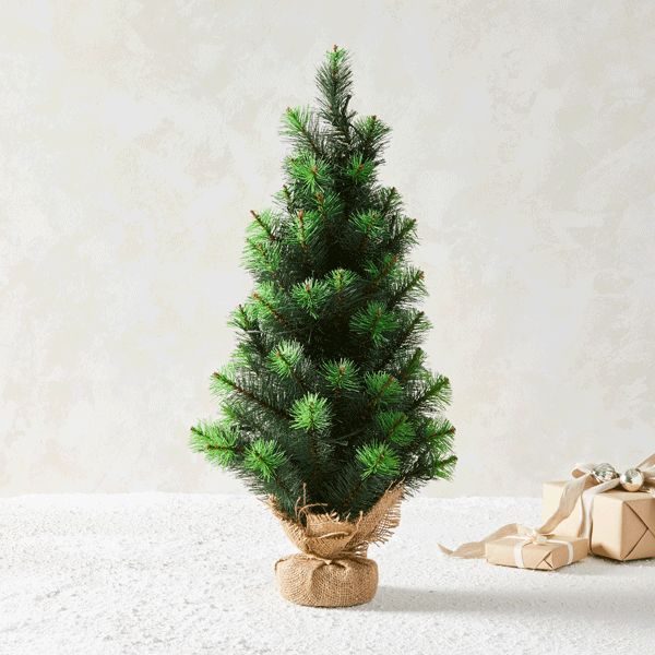 LED Light-Up Tabletop Tree | West Elm (US)