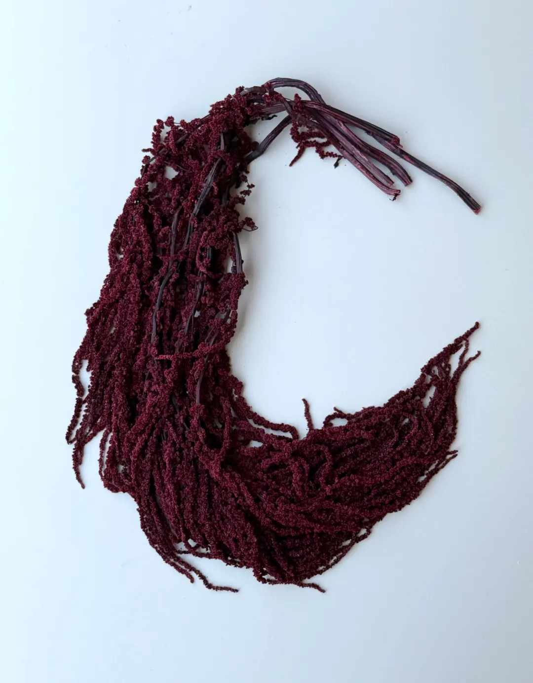 Hanging Amaranthus - Holiday Burgundy Wine - Etsy | Etsy (US)