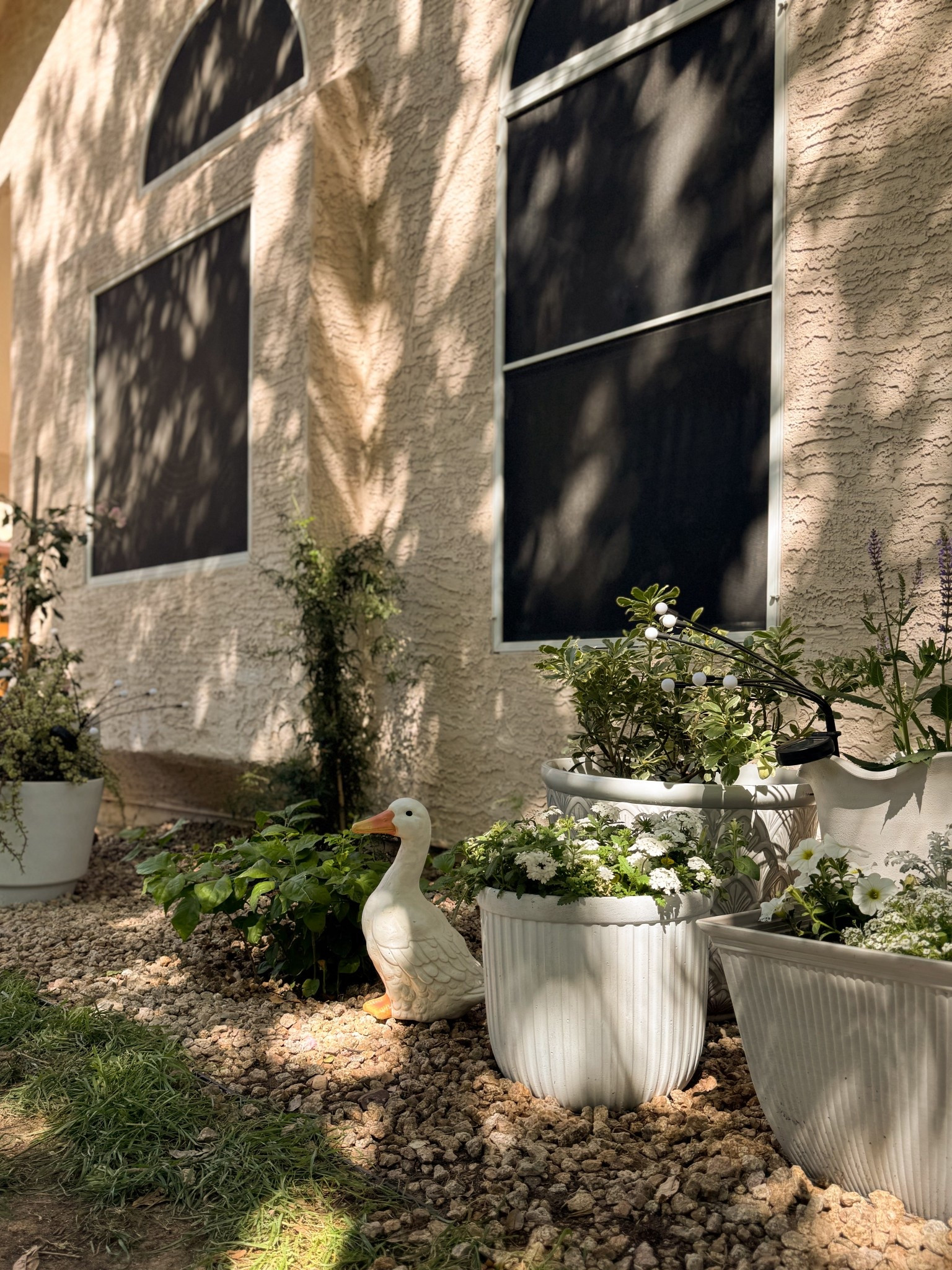 easy garden inspo. european garden ideas. container garden. all white flower garden. white duck statue. porch goose. 

#LTKHome #LTKSeasonal