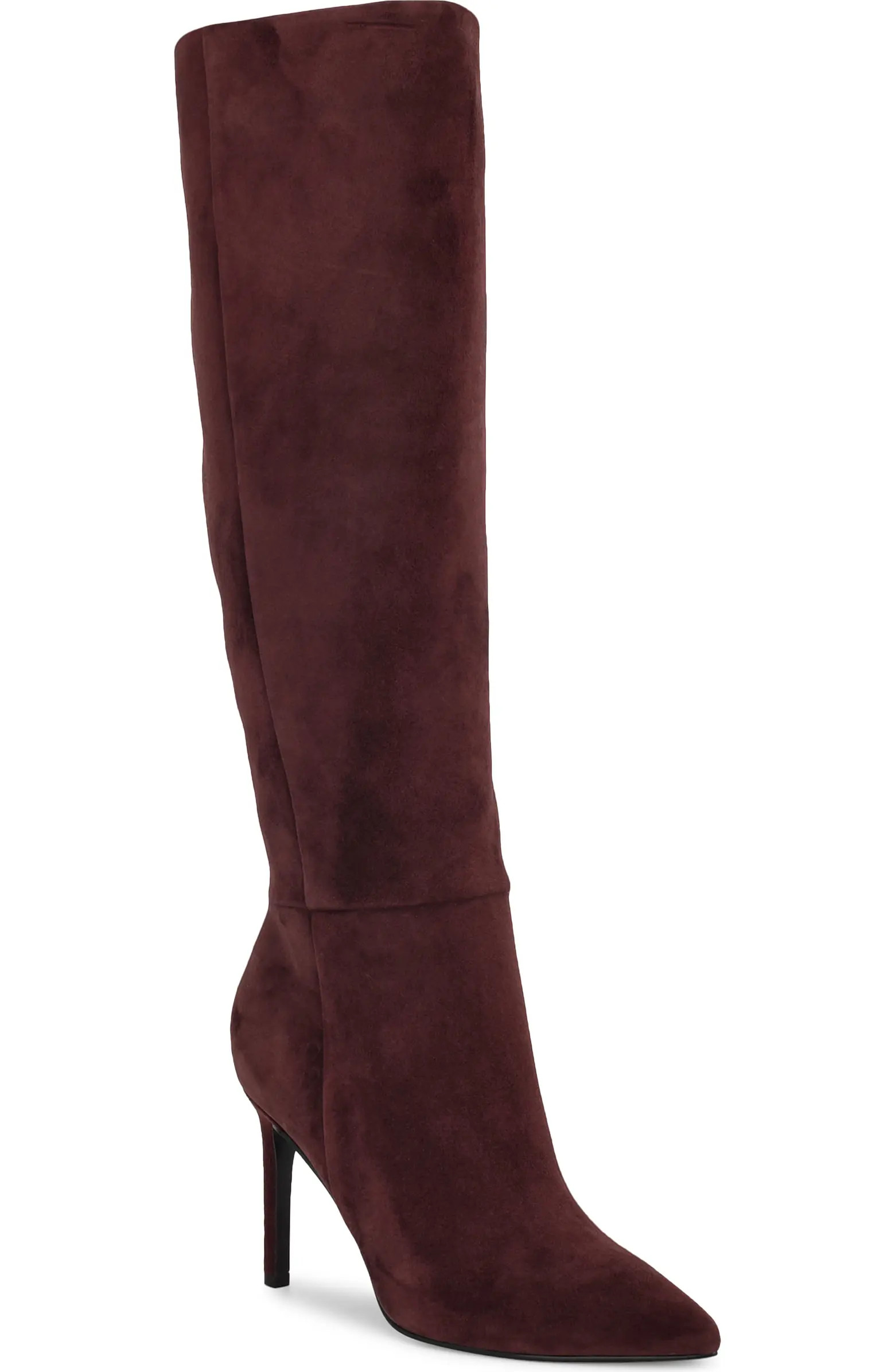 Nine West Richy Pointed Toe Knee High Boot (Women) | Nordstrom | Nordstrom