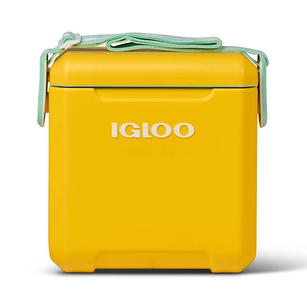 Igloo 11 Qt Tag Along Too Strapped Picnic Style Cooler | Amazon (US)