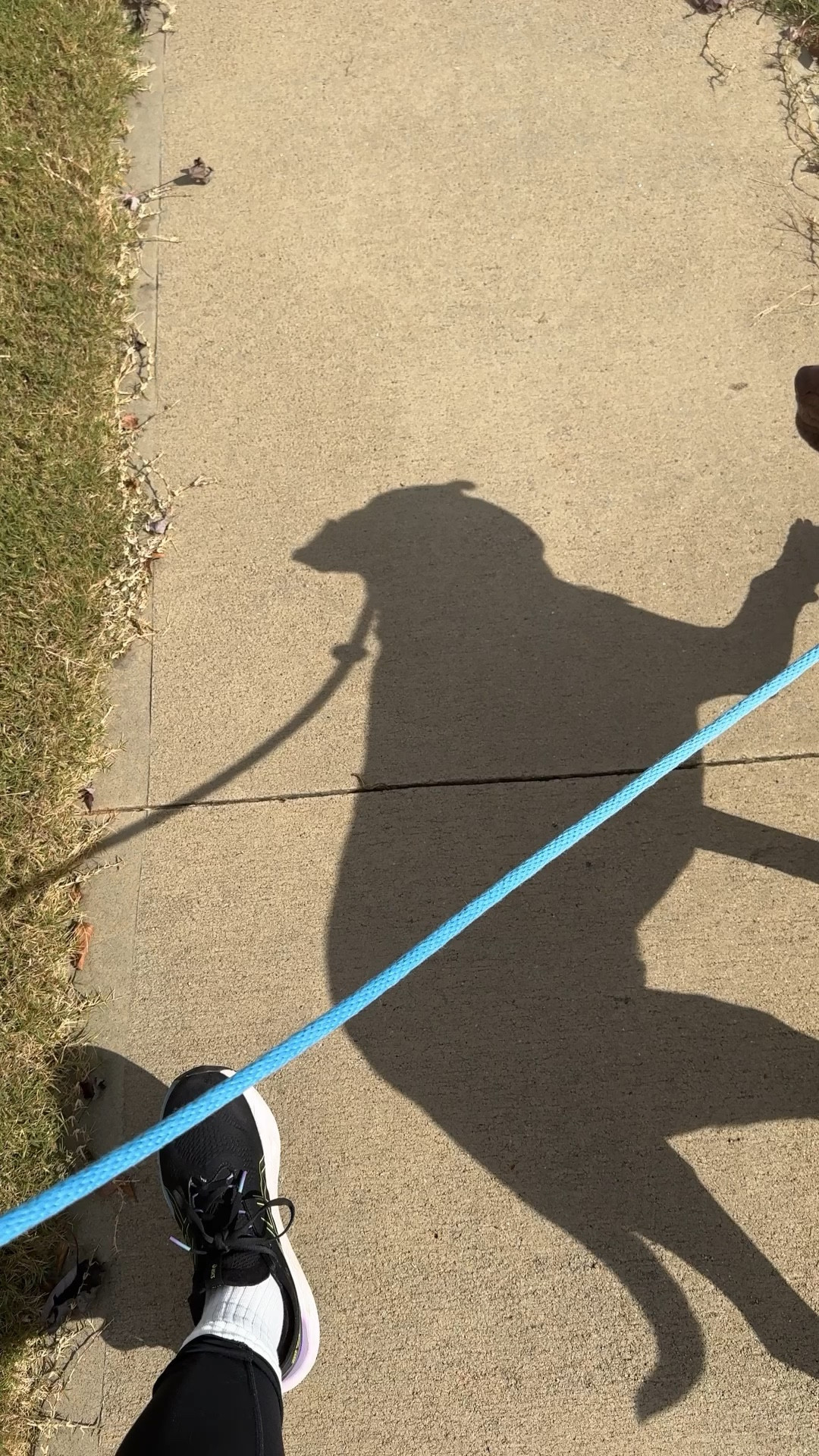 Day 31 of 31 #keepitmoving
October is done! 😄🙌🏾 I’m not gonna be posting everyday but I’ll be posting when I workout still in November. 

#LTKVideo #LTKFitness #LTKActive