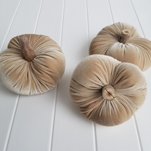 velvet pumpkins, set of three, natural wood stems, champagne color Thanksgiving | eBay | eBay US