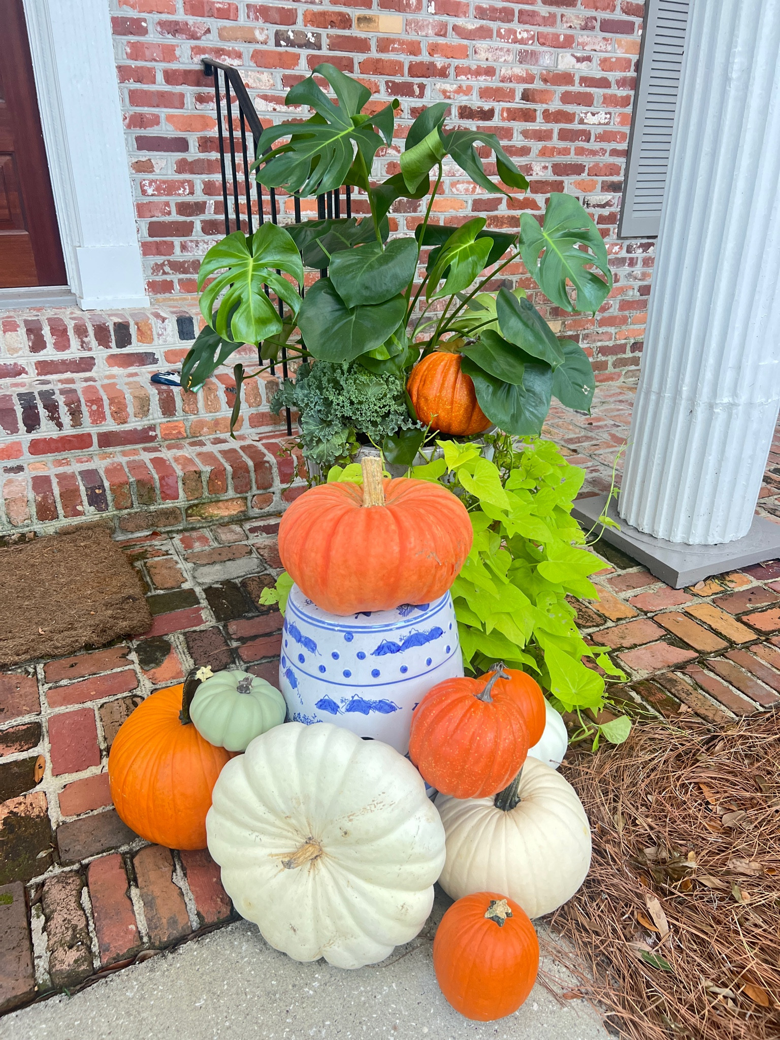 Fall decor 
Porch Pumpkins 