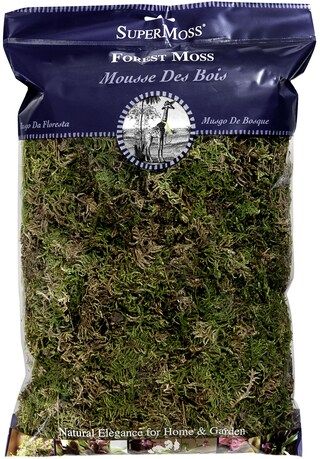 SuperMoss Forest Moss Dried 4oz | Michaels | Michaels Stores