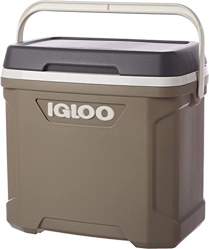 Igloo Sportsman Profile Ii 30 (Sandstn.Wht.Carbonite.Wht) 00050556 | Amazon (US)