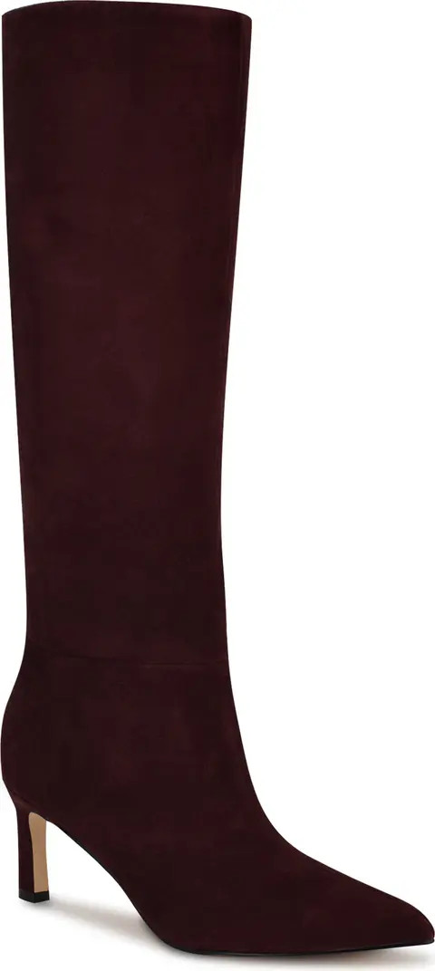 Lorthey Pointed Toe Knee High Boot (Women) | Nordstrom