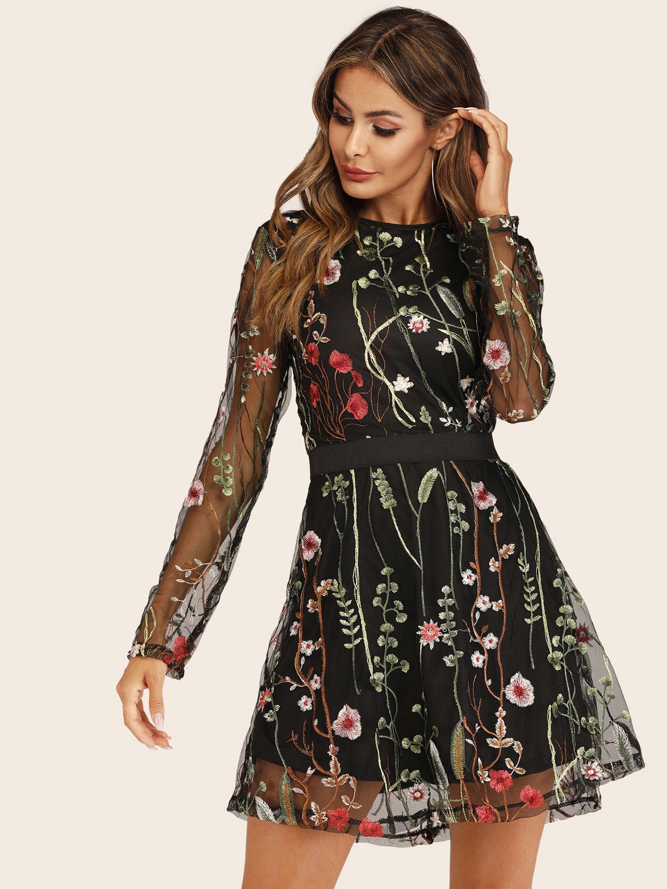 Embroidered Mesh Overlay Dress | SHEIN