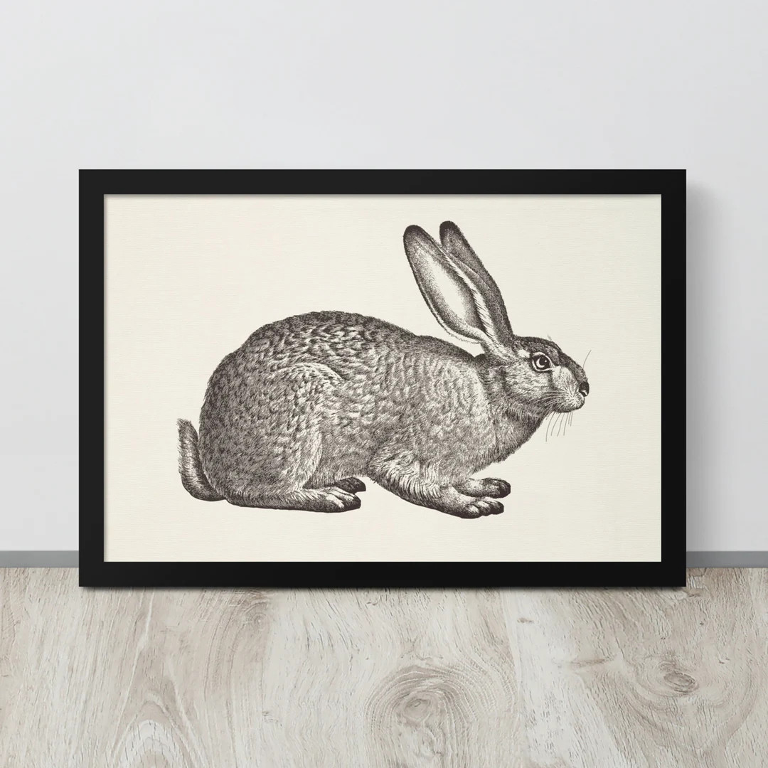 Vintage Rabbit Sketch | Bunny Rabbit Drawing | Antique Rabbit Print | Bunny Wall Art | Farmhouse ... | Etsy (US)