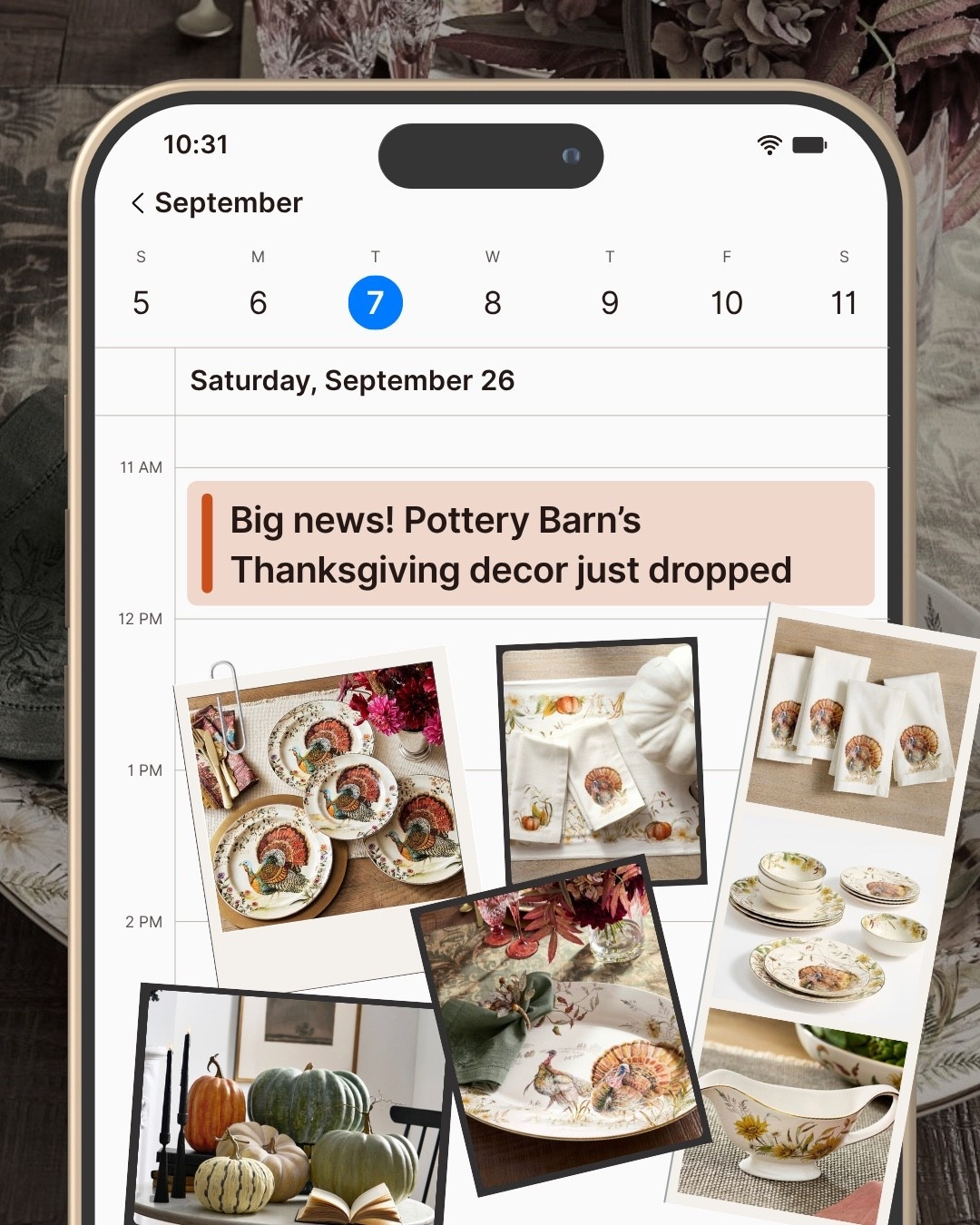 Thanksgiving decor just dropped!  #falldecor #thanksgivingdecor

#LTKfoodie #LTKSeasonal