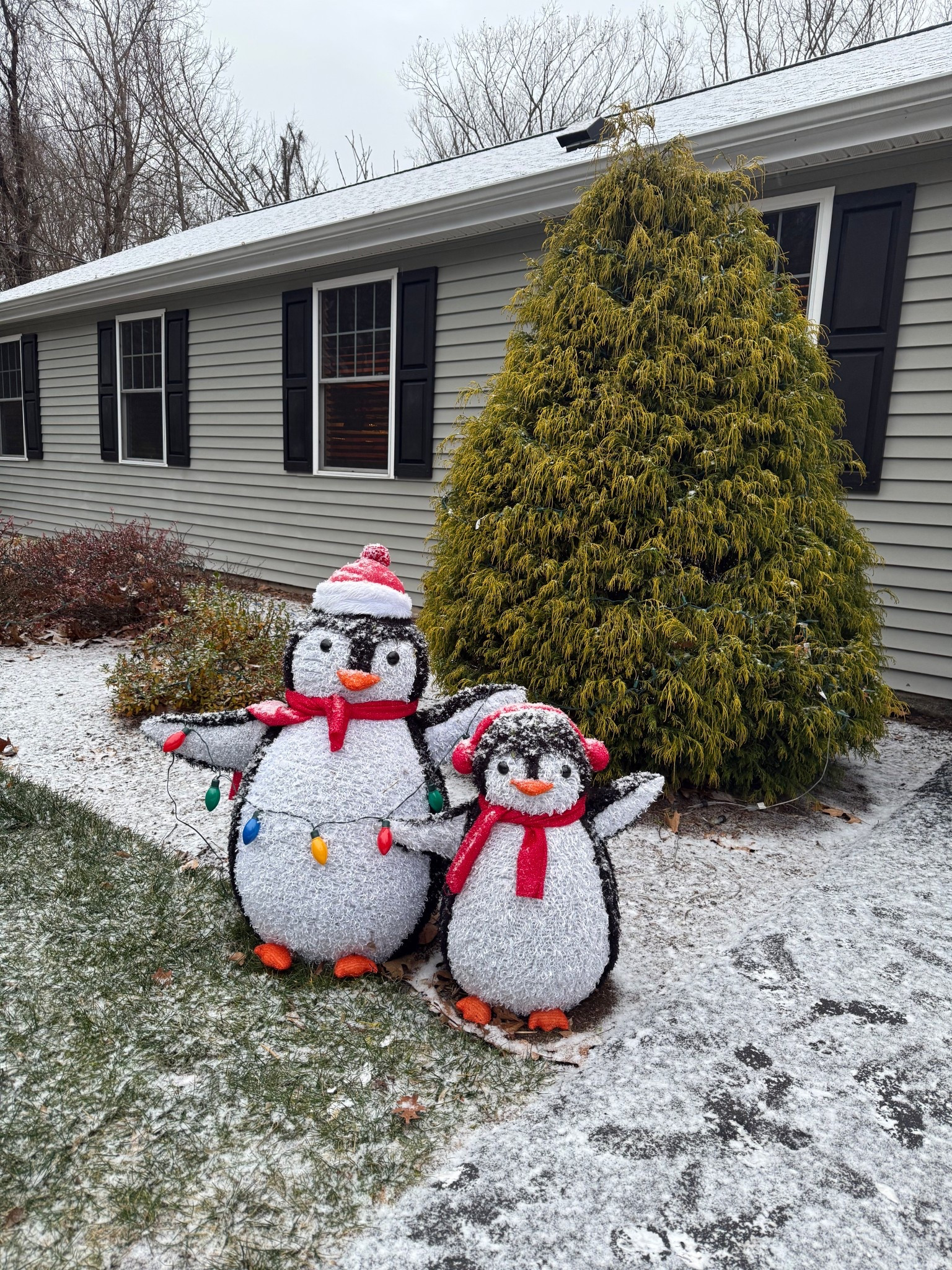 Outdoor Christmas decorations 



#LTKHome #LTKSeasonal #LTKHoliday