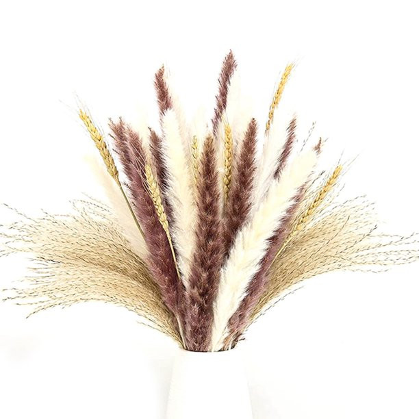 70Pcs 17inch Natural Pompous Pampas Grass for Flower Home Decor - Walmart.com | Walmart (US)