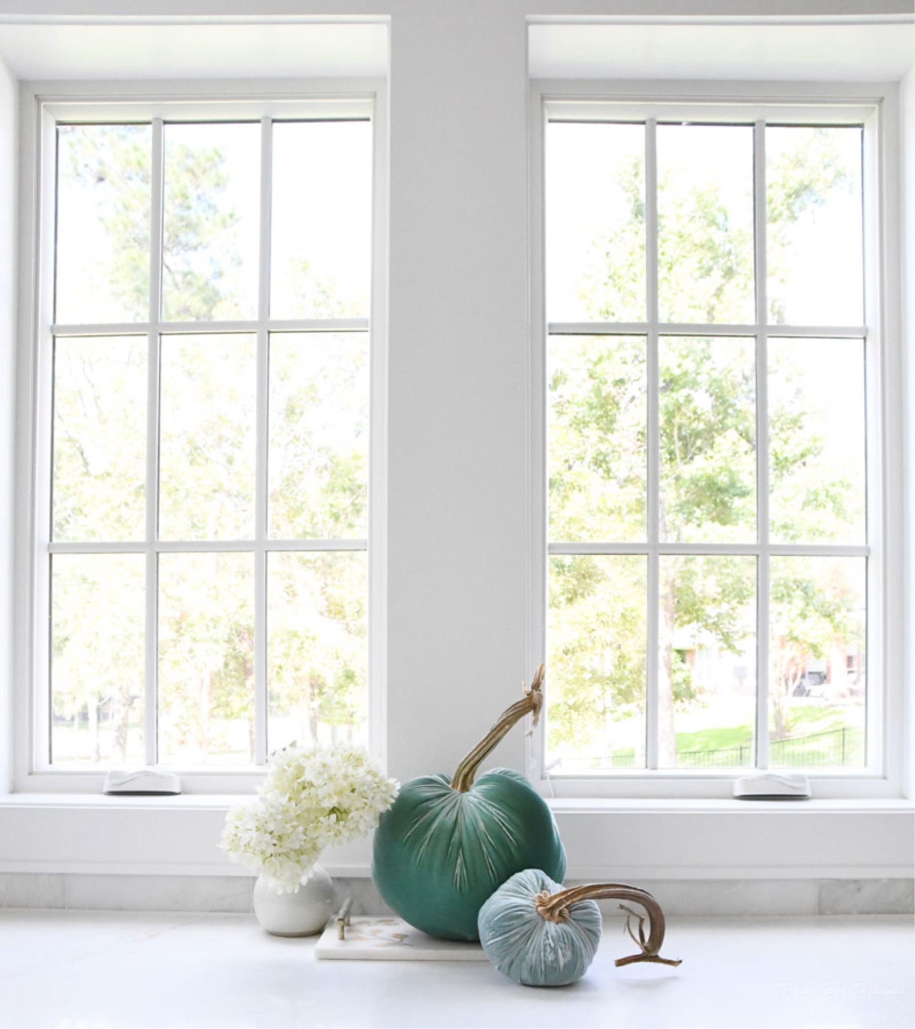 Fall decor
Home decor, kitchen styling, interior decorr
Hot Skwash velvet pumpkins 

#LTKhome