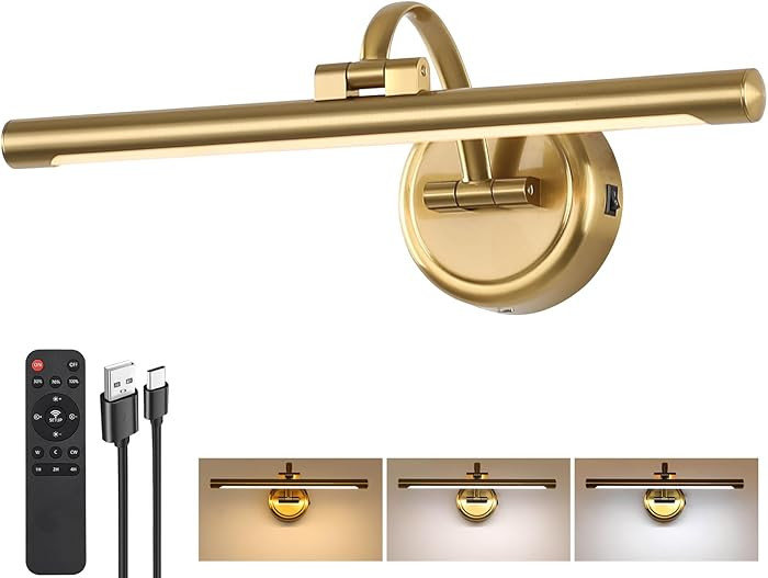 Picture Light for Wall,Battery Operated Art Lights for Painting,3 Color Selections and Brightness... | Amazon (US)