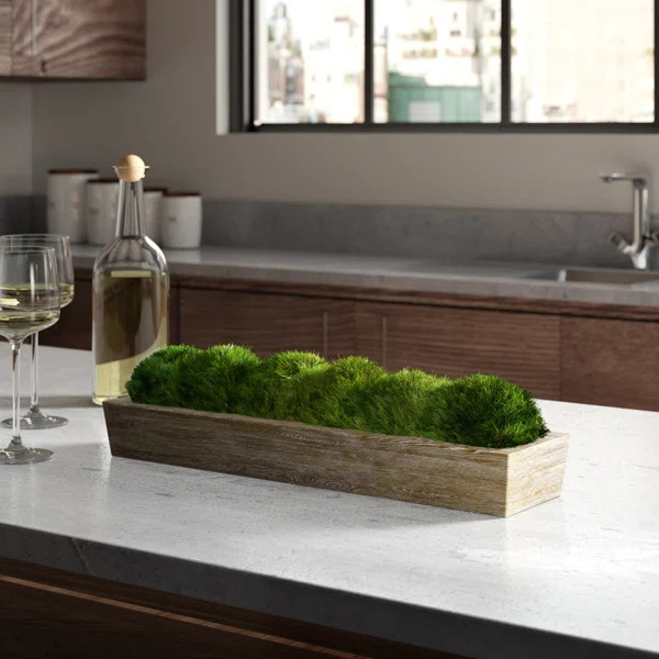 Preserved Moss Plant in Planter | Wayfair North America