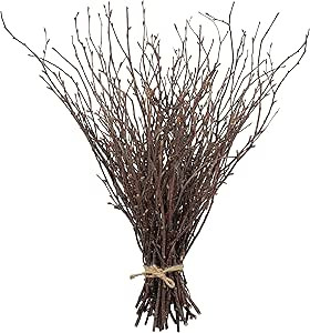 50PCS Birch Twigs – 17 Inch Natural Dried Plants Decorative Birch Branches for DIY Crafts, Birc... | Amazon (US)