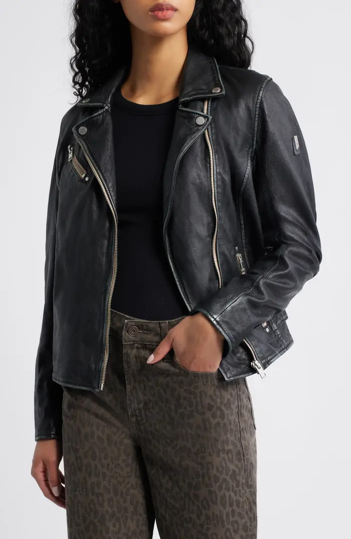 Sofia Lambskin Moto Jacket | Nordstrom