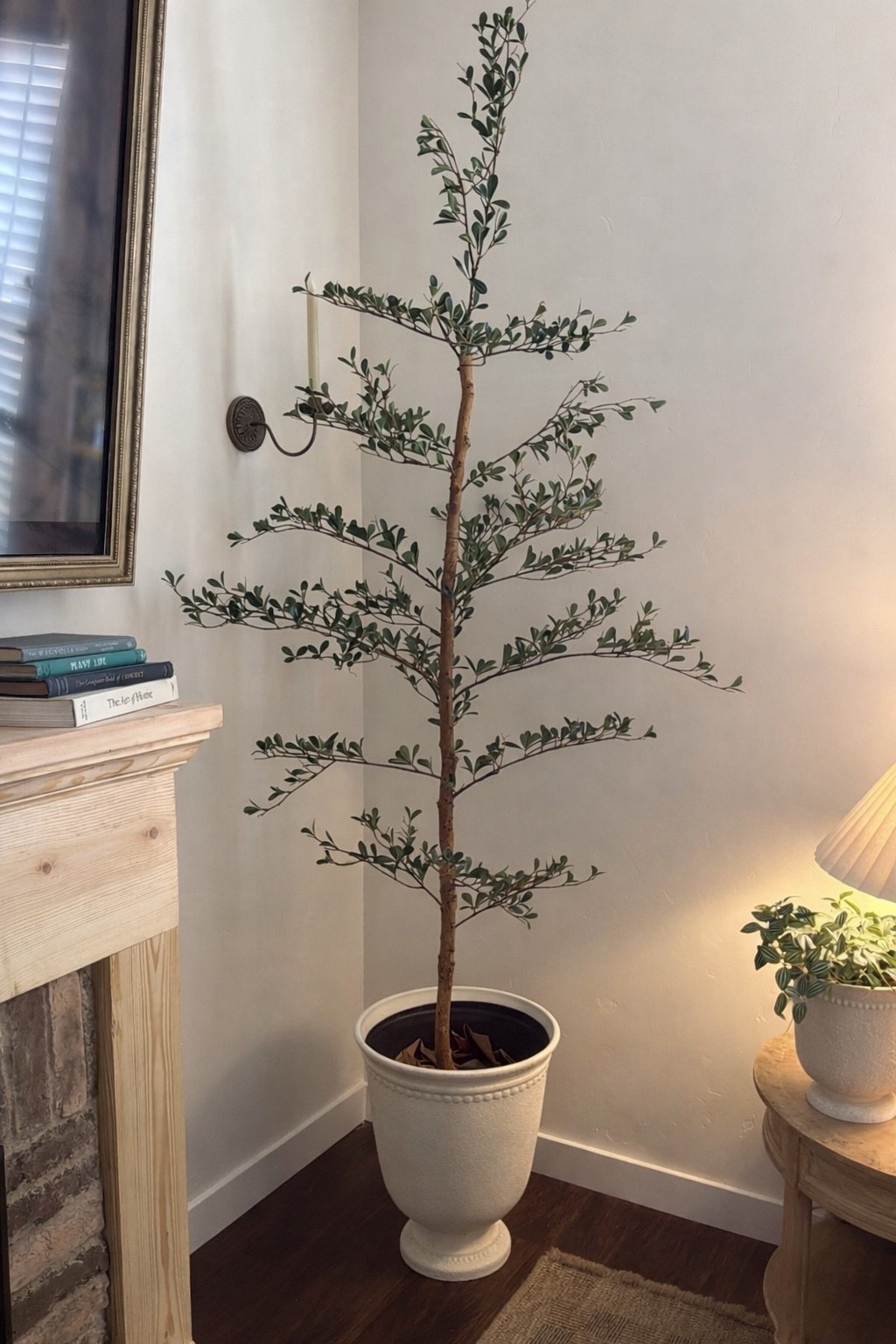 Olive tree & planter #walmartfinds 

#LTKSaleAlert #LTKHome #LTKdayinmylife