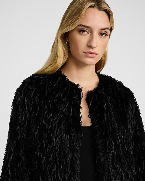 Feathered Faux Fur Coat | Express