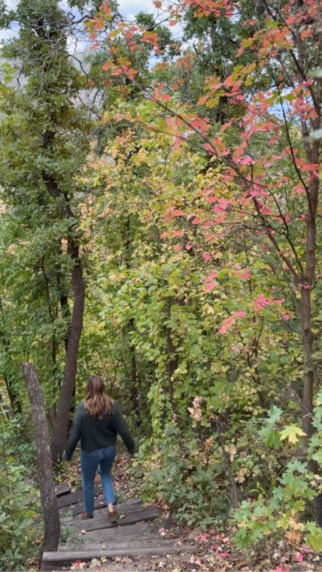 Classic (and affordable) cashmere from Quince. I live in this during the fall and winter months!

#LTKHome #LTKSeasonal #LTKStyleTip