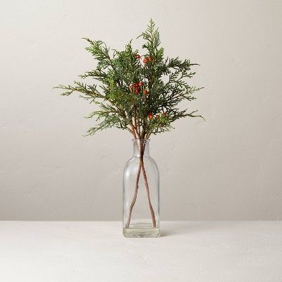 16" Faux Cedar & Winterberry Stems Glass Bottle Arrangement - Hearth & Hand™ with Magnolia | Target