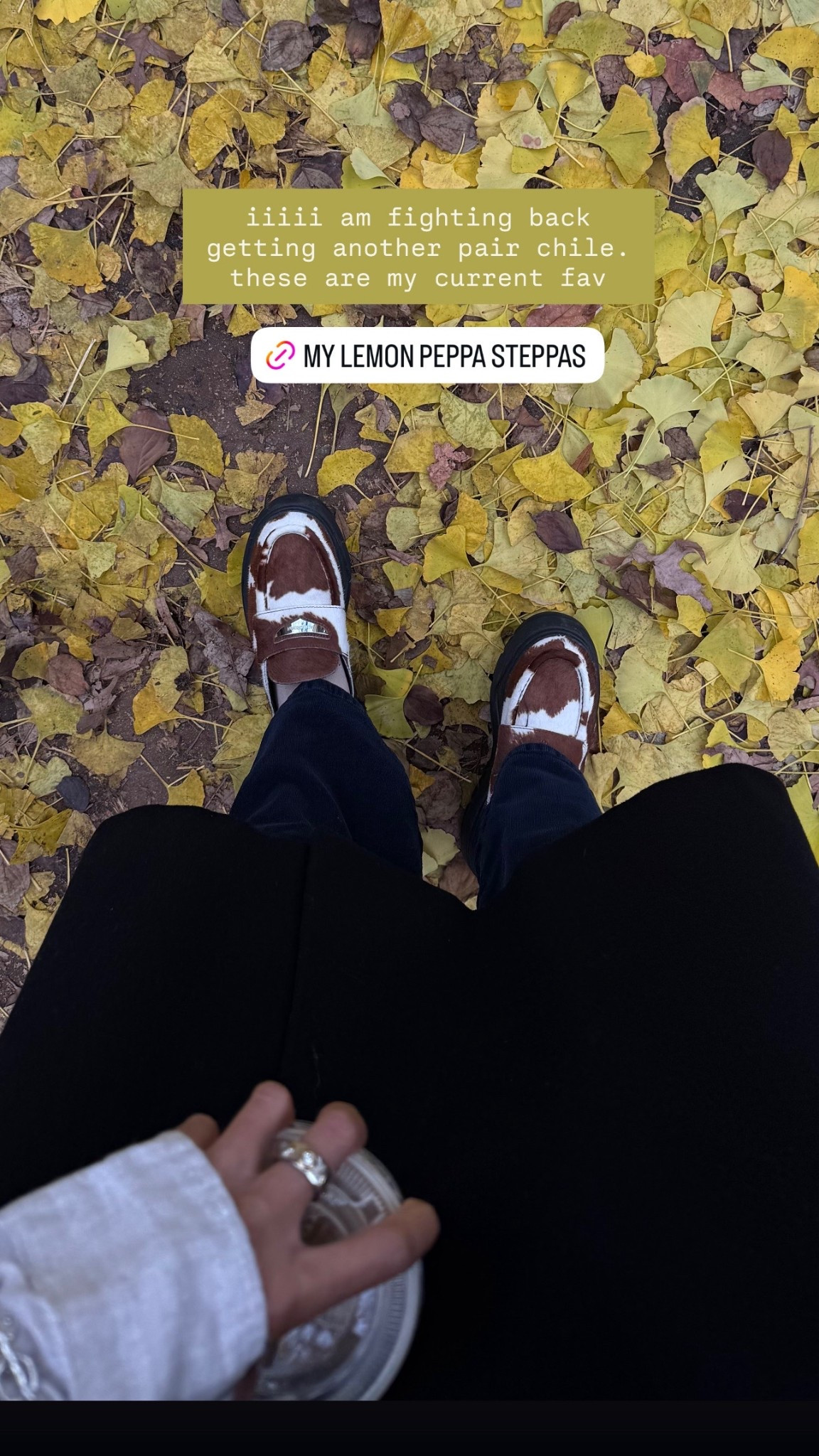 my socially acceptable slides! haha as a self proclaimed lover of doing the most, I love when I can make the mundane meaningful like a pair of throw on mules from AirJordan as a my statement show for quick errands or comfort days. 

The perfect gift to myself for the fall but would be dope gift for the streetwear lover in your life! 


streetwear guy gift guide, shoe cam, shoe game, show crush 

#LTKootd #LTKgrwm #LTKSeasonal