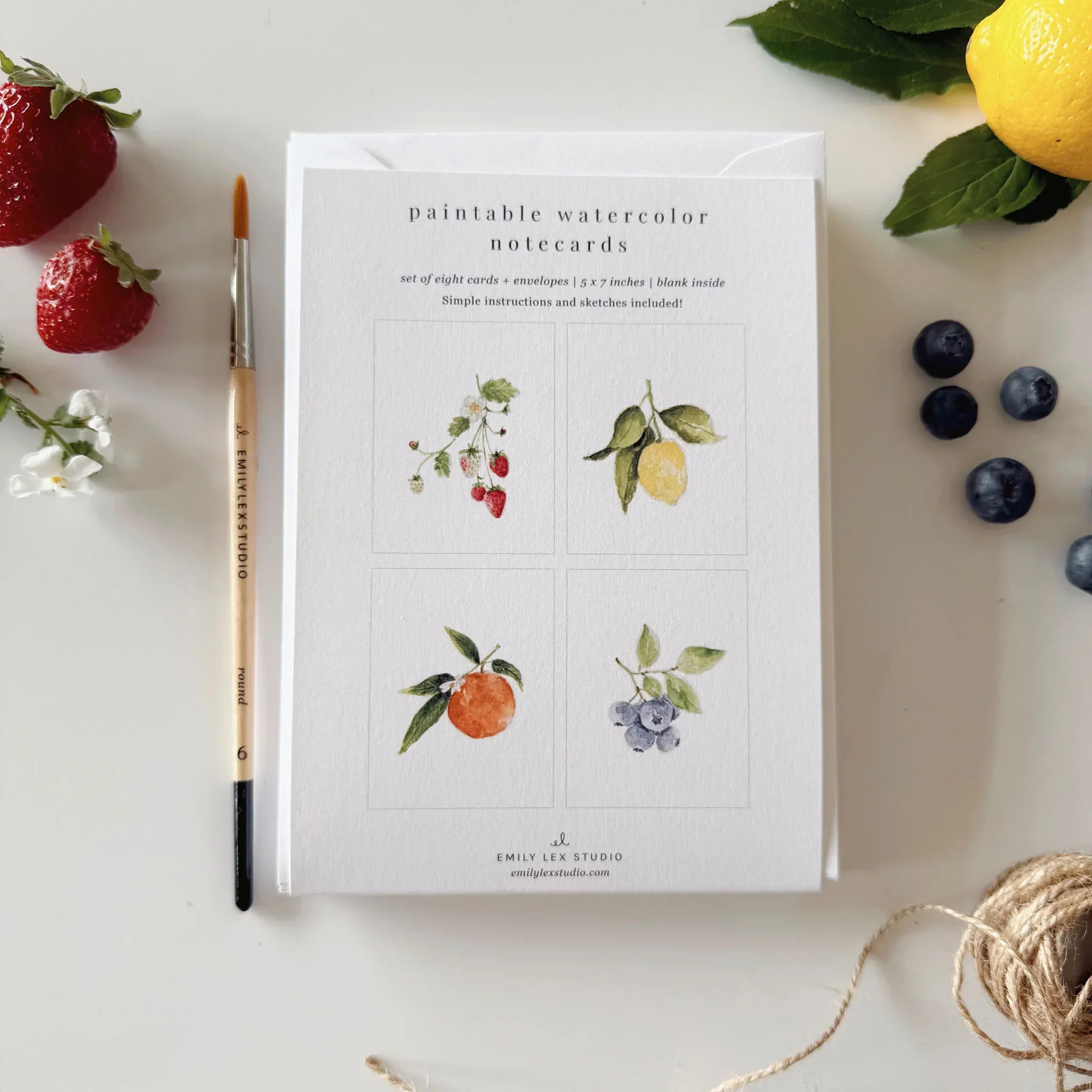 fruit paintable watercolor notecard set | Emily Lex Studio